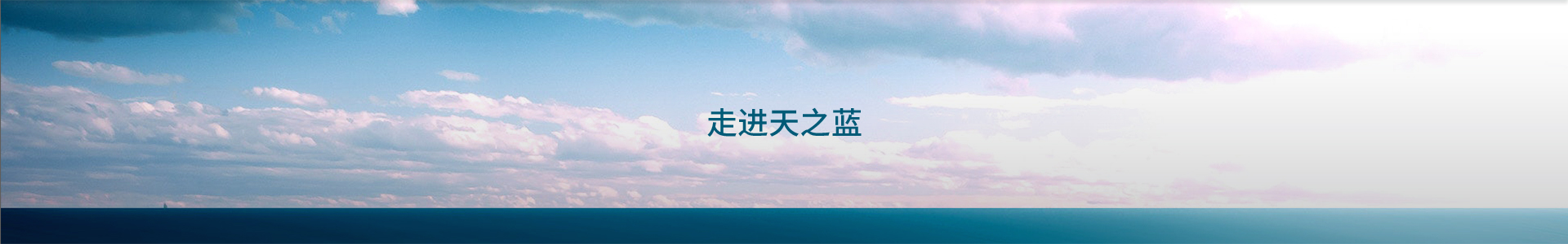 &#66;&#79;&#66;&#21322;&#23707;